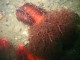 Thumbs/tn_SanJuan 053.jpg